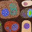 Turner Galleries - Accommodation Mermaid Beach