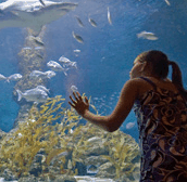 The Aquarium of Western Australia - Accommodation Mermaid Beach