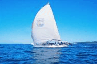 Manly Harbour Village - Accommodation Mermaid Beach