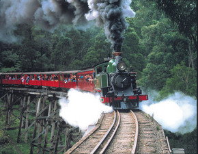 Puffing Billy - Accommodation Mermaid Beach 1