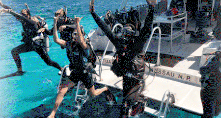 Snorkel Safari Brisbane - Accommodation Mermaid Beach 0