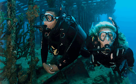 Snorkel Safari Brisbane - Accommodation Mermaid Beach 2