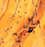 Rocksports Indoor Climbing - Accommodation Mermaid Beach