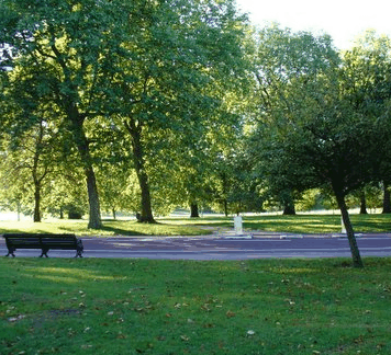 William Taylor Park - Accommodation Mermaid Beach