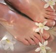 Orchid Day Spa - Accommodation Mermaid Beach