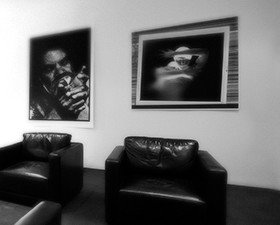 Eleven40 Gallery - Accommodation Mermaid Beach 0