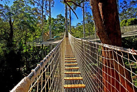 Thunderbird Park - Accommodation Mermaid Beach 0