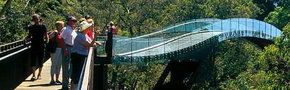 Kings Park Botanic Gardens - Accommodation Mermaid Beach 1