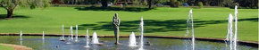 Kings Park Botanic Gardens - Accommodation Mermaid Beach 3