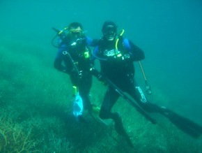 Pelican Charters - Accommodation Mermaid Beach 1