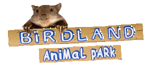 Birdland Animal Park - Accommodation Mermaid Beach