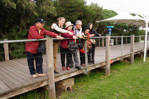 Phillip Island Penguin Parade - Accommodation Mermaid Beach 1