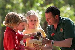 Cleland Wildlife Park - Accommodation Mermaid Beach 0
