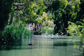 Cleland Wildlife Park - Accommodation Mermaid Beach 1