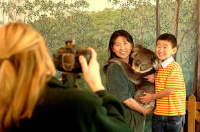 Cleland Wildlife Park - Accommodation Mermaid Beach 2