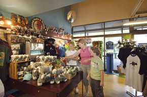 Cleland Wildlife Park - Accommodation Mermaid Beach 3