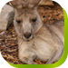 Calmsley Hill City Farm - Accommodation Mermaid Beach 0