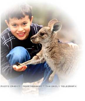 Australia Walkabout Wildlife Park - Accommodation Mermaid Beach 1
