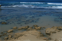 Canberra Contemporary Art Space - Accommodation Mermaid Beach