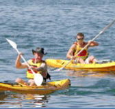 Manly Kayaks - Accommodation Mermaid Beach