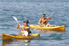 Manly Kayaks - Accommodation Mermaid Beach 0