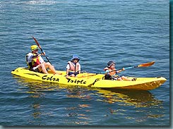 Manly Kayaks - Accommodation Mermaid Beach 3