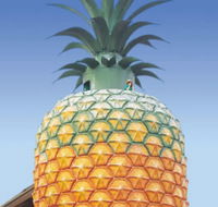 The Big Pineapple - Accommodation Mermaid Beach