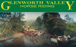 Glenworth Valley Horseriding - Accommodation Mermaid Beach 0