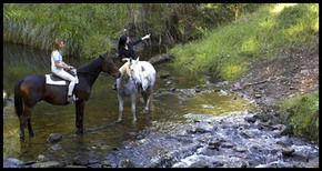 Glenworth Valley Horseriding - Accommodation Mermaid Beach 1