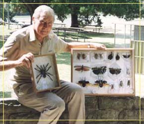Butterfly Farm - Accommodation Mermaid Beach 1