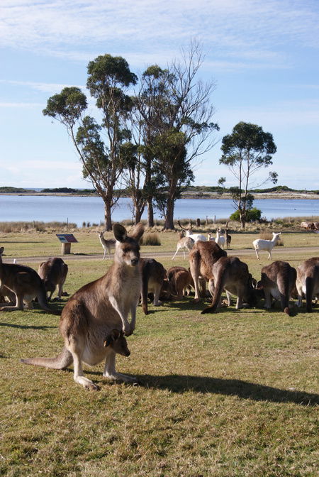 East Coast Natureworld - Accommodation Mermaid Beach 1