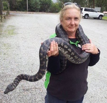 Gumbuya Park - Accommodation Mermaid Beach 2