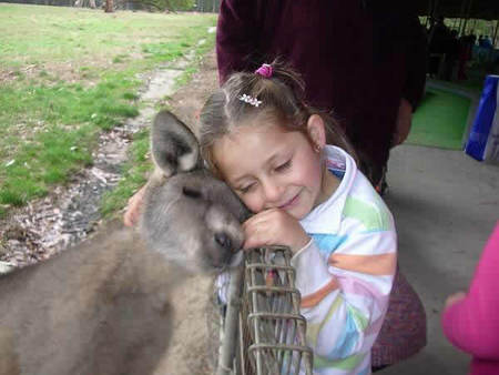 Gumbuya Park - Accommodation Mermaid Beach 3