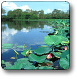 Kakadu National Park - Accommodation Mermaid Beach 3