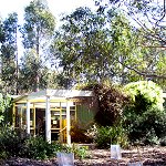 Koala Conservation Centre - Accommodation Mermaid Beach 1