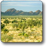 Uluru - Kata Tjuta National Park - Accommodation Mermaid Beach 2