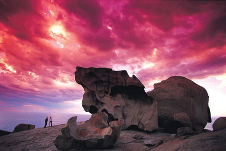 Kangaroo Island Adventure Tour 2 Day/1 Night - Accommodation Mermaid Beach 0