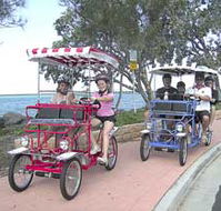 Beach Safaris - Accommodation Mermaid Beach