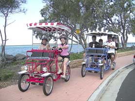 Beach Safaris - Accommodation Mermaid Beach 0
