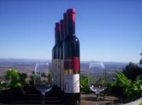 Mount Tamborine Winery & Homestead - Accommodation Mermaid Beach 0