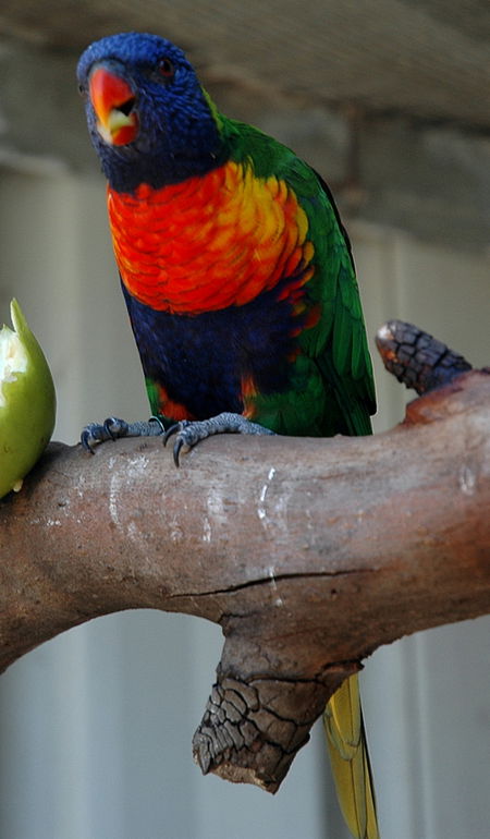 Bunbury Wildlife Park - Accommodation Mermaid Beach 3