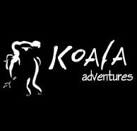 Koala Adventures - Accommodation Mermaid Beach