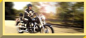 Easy Rider - Accommodation Mermaid Beach 1