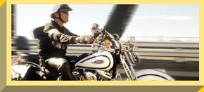 Easy Rider - Accommodation Mermaid Beach 2