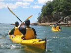 Sydney Harbour Kayaks - Accommodation Mermaid Beach 1