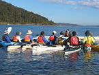 Sydney Harbour Kayaks - Accommodation Mermaid Beach 2