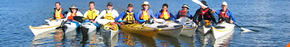 Sydney Harbour Kayaks - Accommodation Mermaid Beach 3