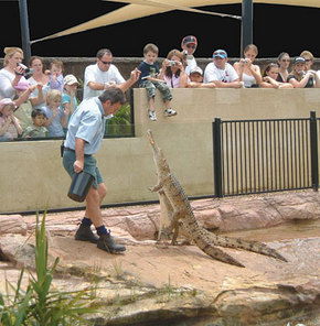 Symbio Wildlife Gardens - Accommodation Mermaid Beach 3