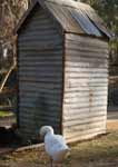 Wagga Wagga Zoo - Accommodation Mermaid Beach 2