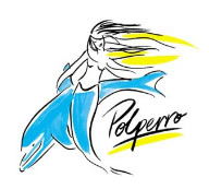 Polperro Dolphin Swims - Accommodation Mermaid Beach 0